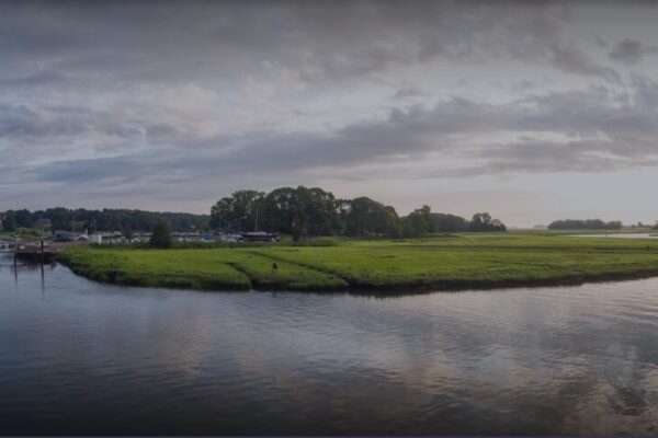essex-bck