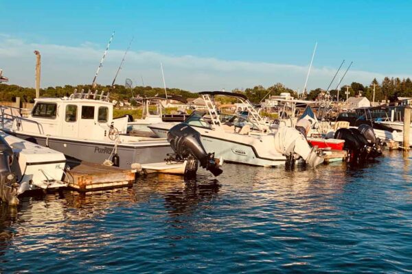 boats docked at essex marina